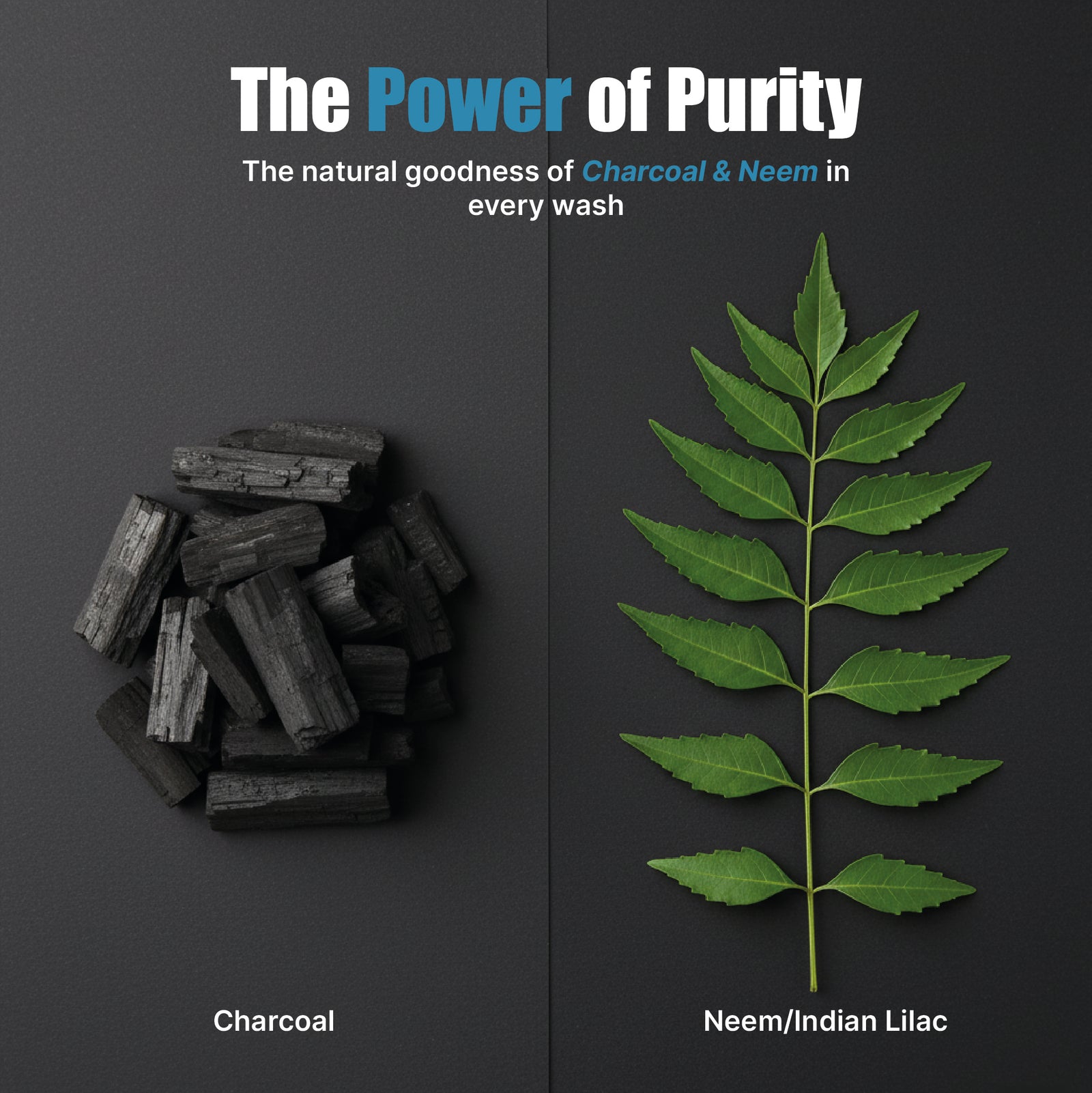 Skin Elements 2-in-1 Body & Intimate Wash for Men | Daily Refreshing Cleanser with Natural Goodness of charcoal & Neem extracts | Thicker Consistency | Long Lasting Freshness | pH Balanced Gentle Body Wash | 500 ml