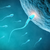6 Ways To Improve & Increase Sperm Quality
